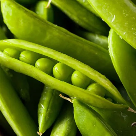 ถั่วลันเตา กล้วยดิบ แหล่งแป้งต้านมะเร็ง